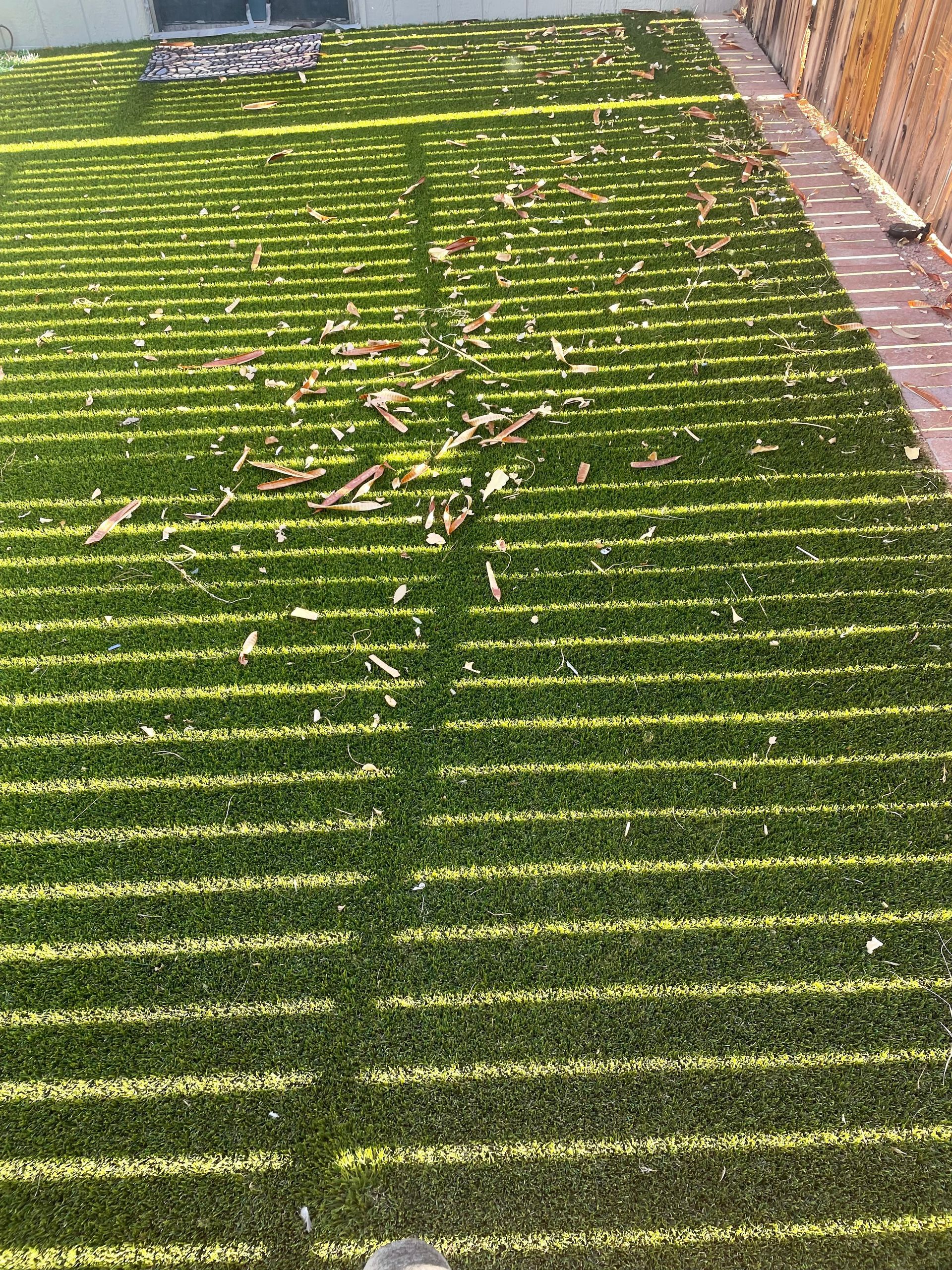 A lawn with a lot of leaves on it and a fence in the background.