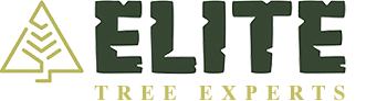 A logo for elite tree experts with a tree in the middle.