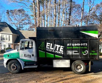 An elite tree experts truck is parked in front of a house.