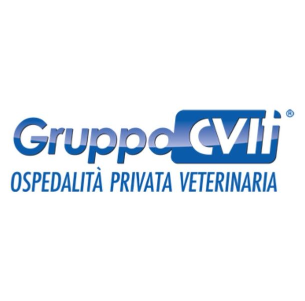 Gruppo Civit Logo