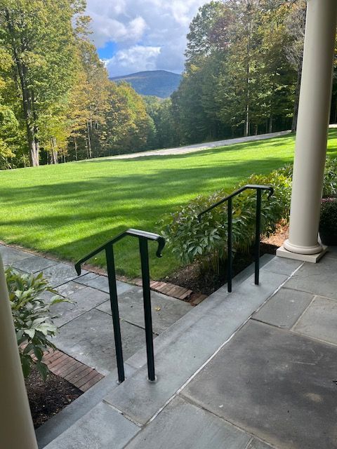 Black handrails on stone steps leading to a green lawn and trees, mountain in the distance.