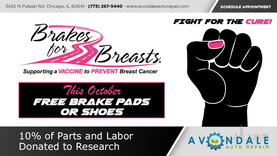 Brakes for Breasts Advertisement for