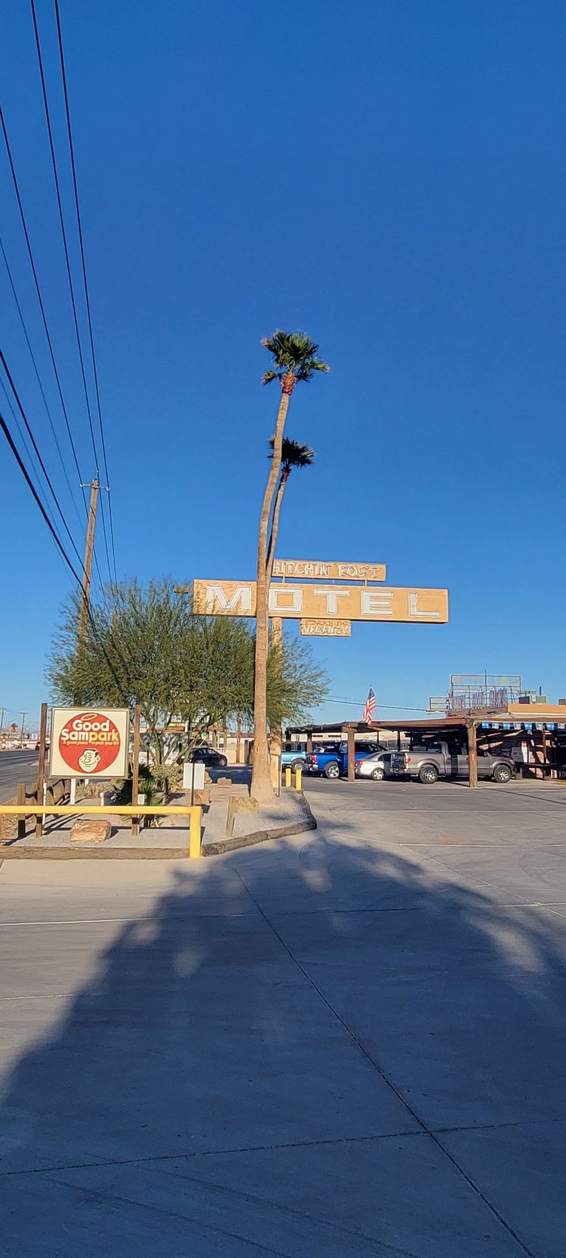 A sign for a motel next to a palm tree on a sunny day.