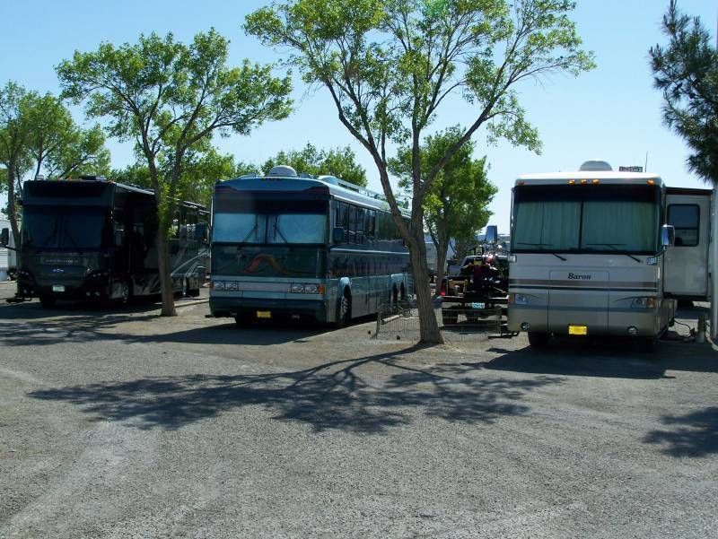 Three RVs parked under trees in a gravel lot on a sunny day.