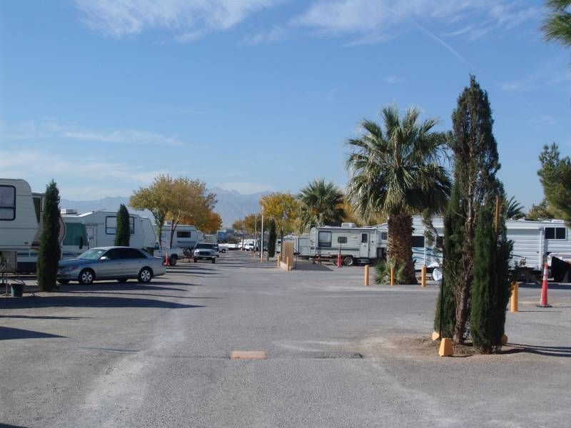 RV park with parked RVs, trees, and cars on a paved road under a blue sky.