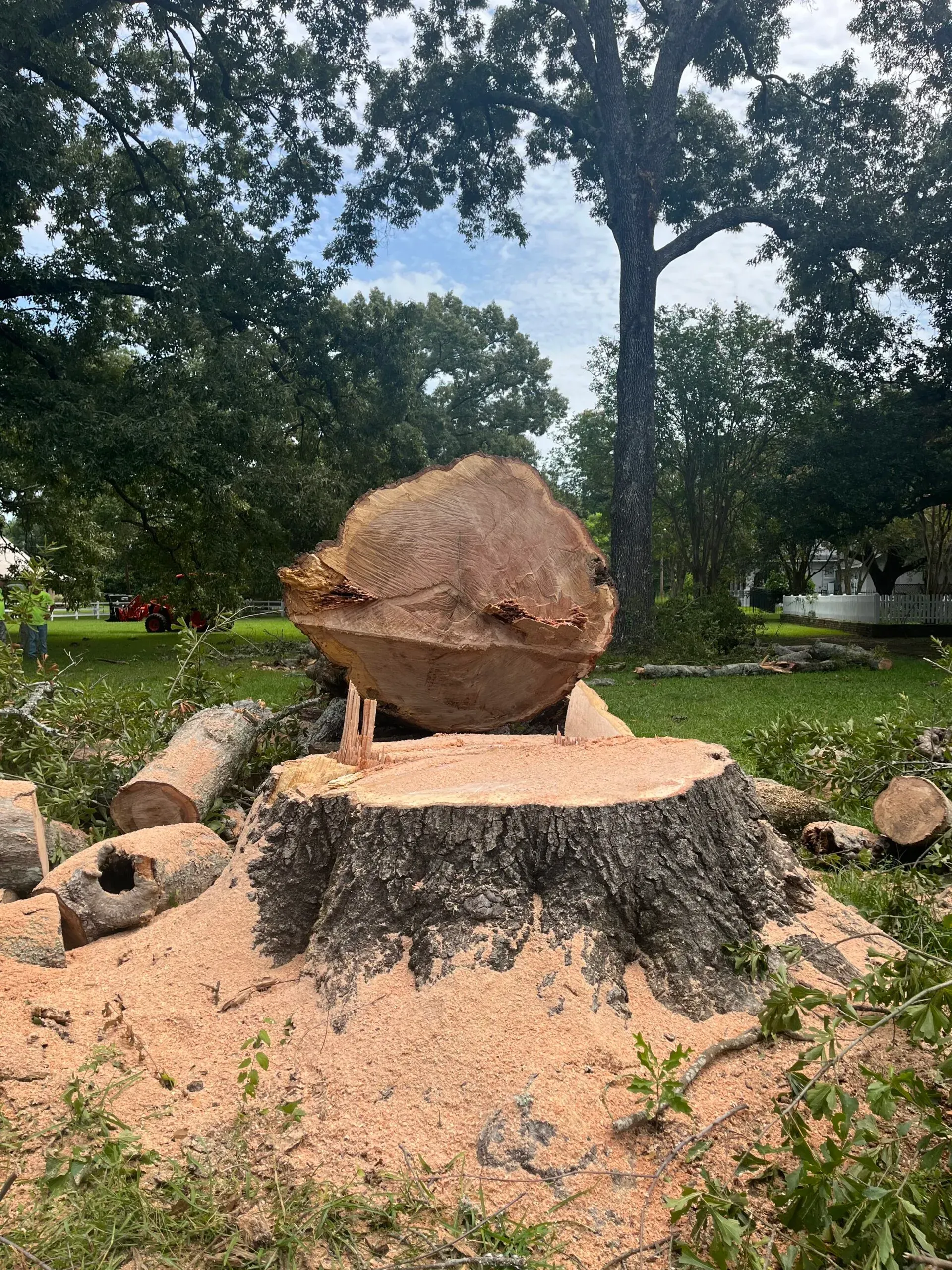 A large tree stump is sitting in the middle of a grassy field.