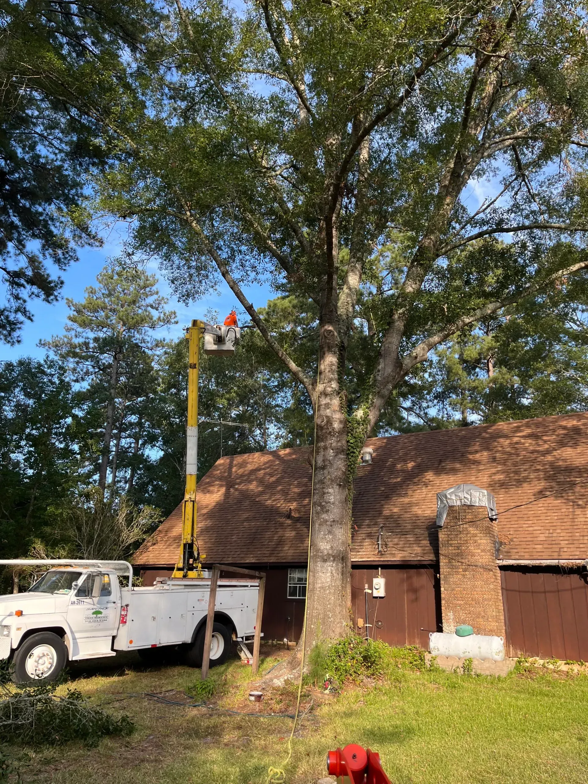A tree cutting truck is cutting a tree in front of a house.