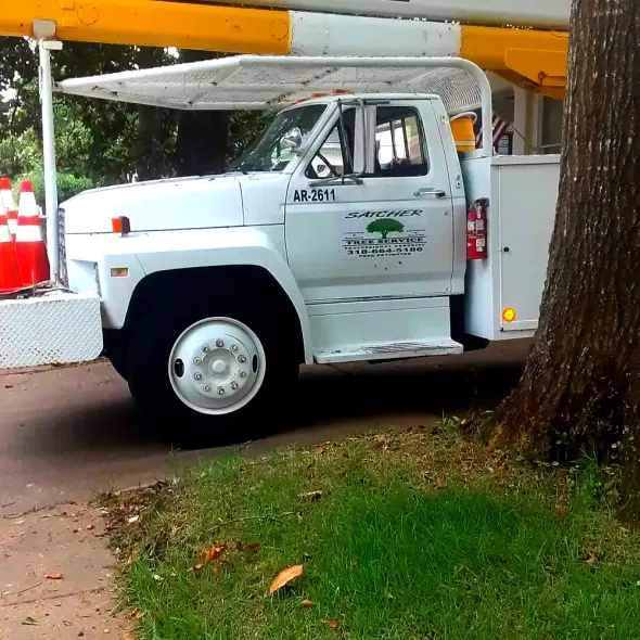 A white truck with a tree service logo on the side
