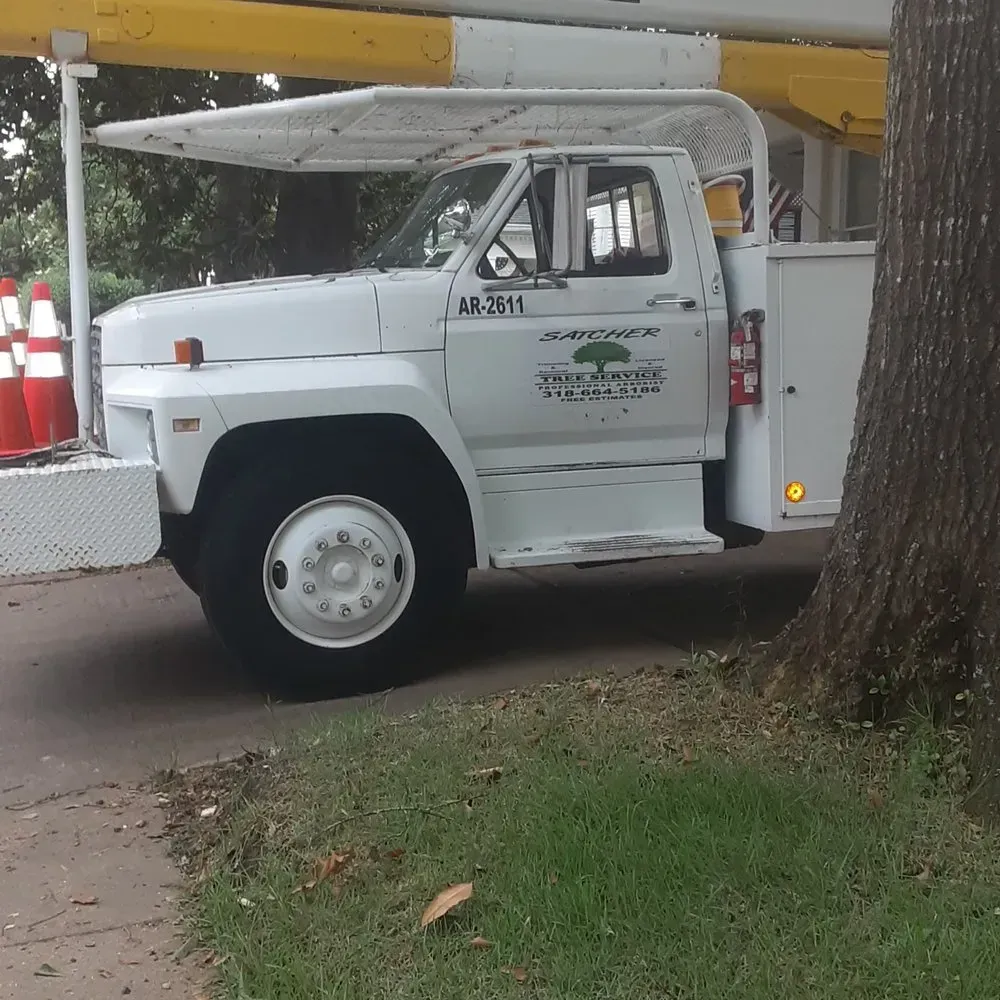 A white truck with a tree on the side of it