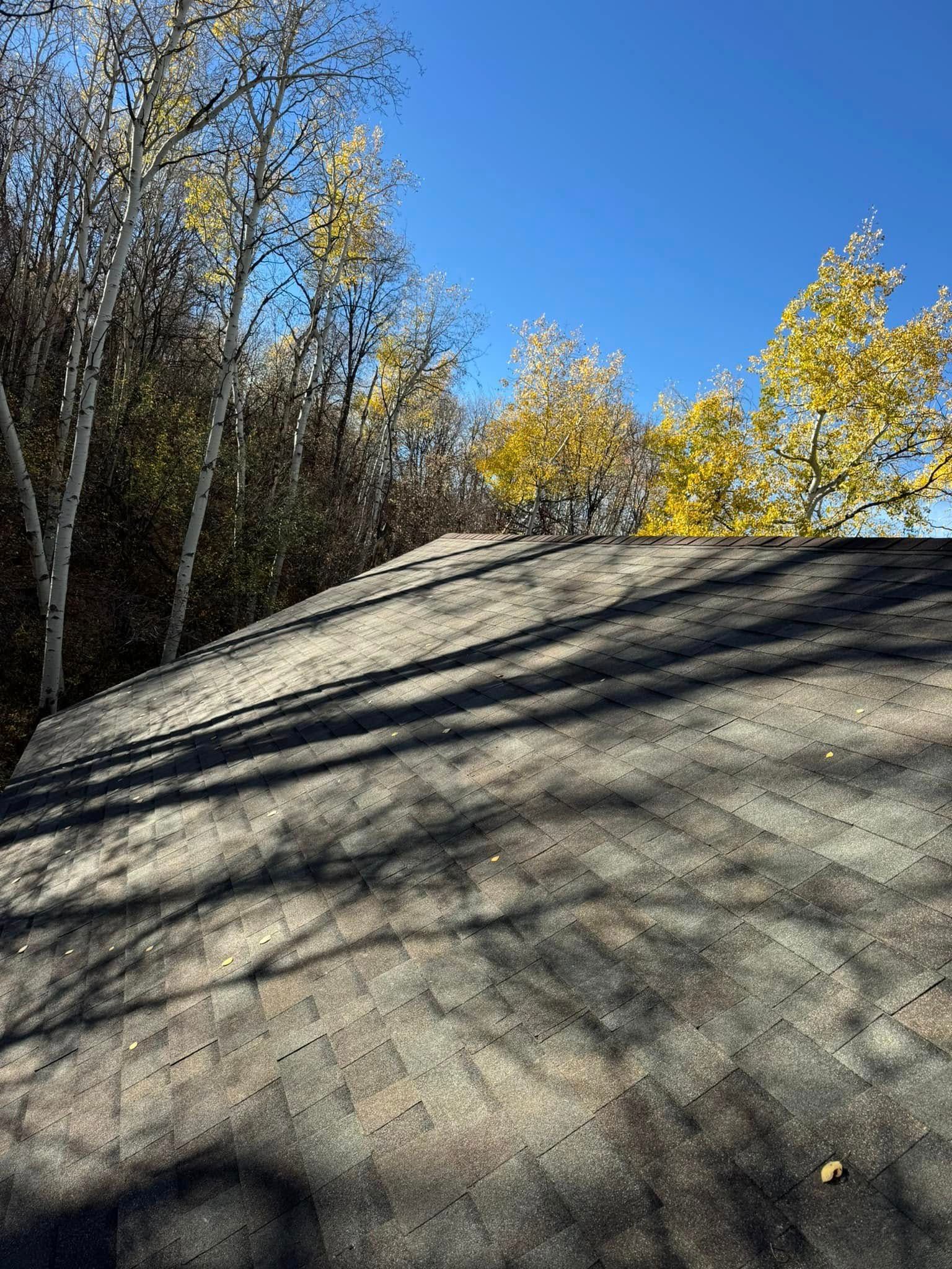 A dark, weathered roof with shadows, trees with yellow leaves and a bright blue sky.