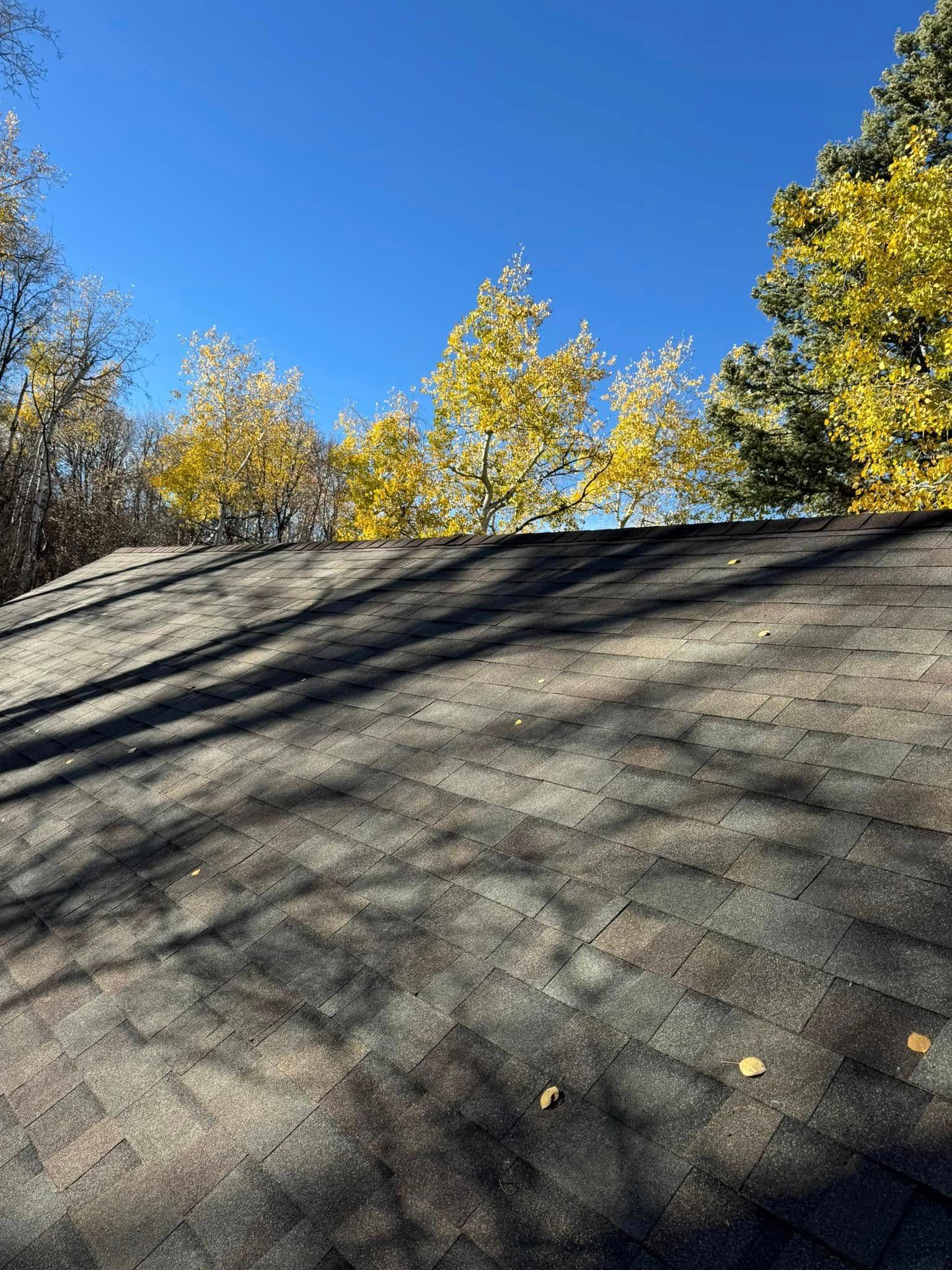 Dark shingled roof with fall foliage of yellow trees against a clear blue sky.