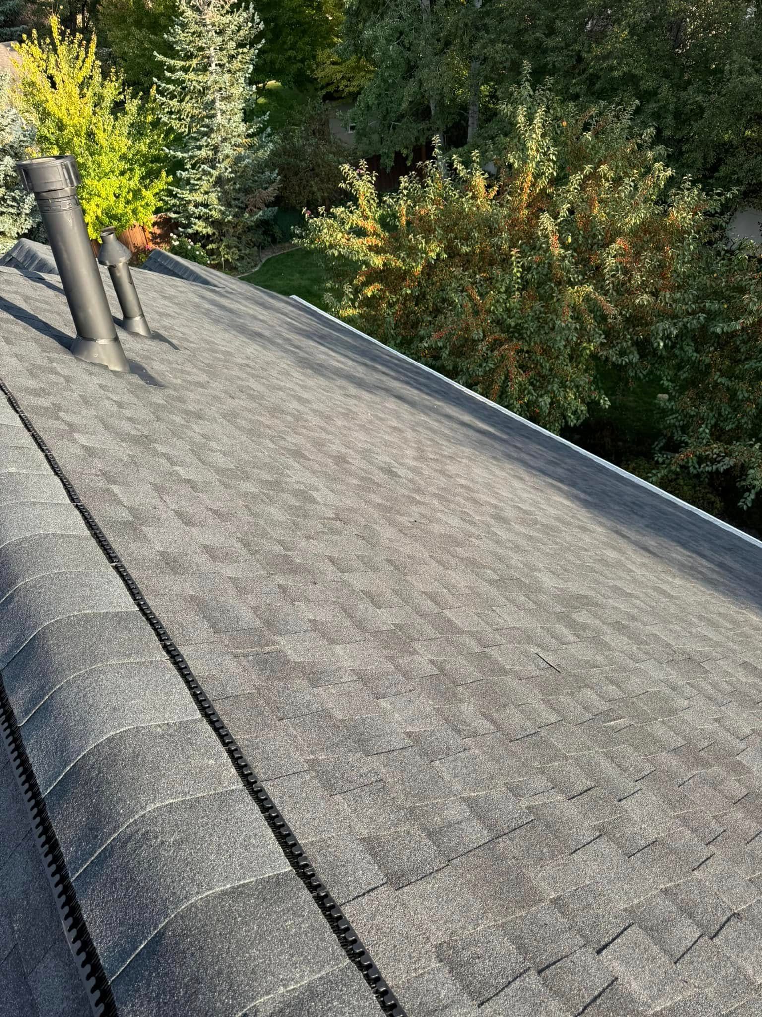Gray asphalt shingle roof with chimneys, trees in the background.