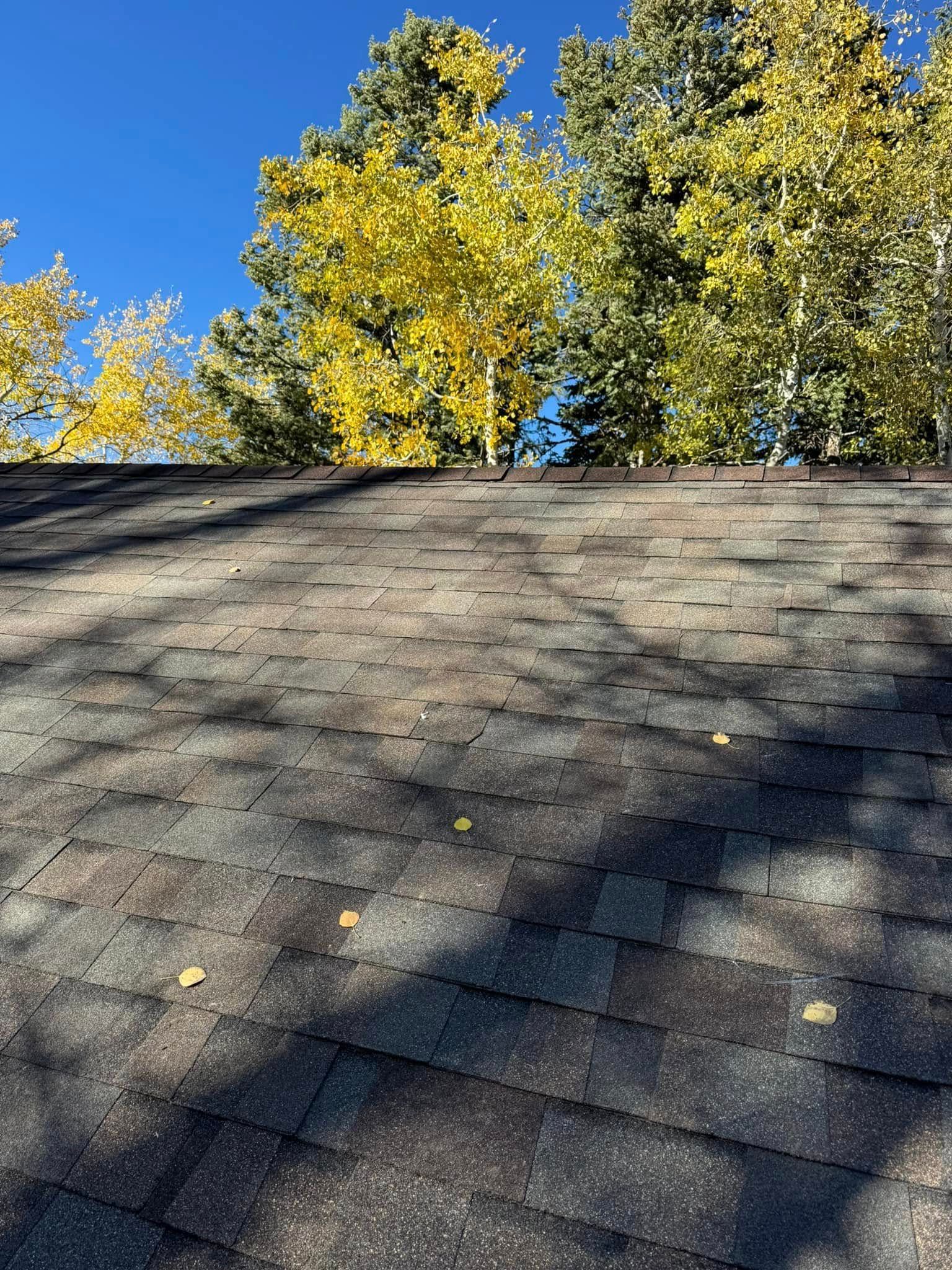 Roof with autumn leaves, blue sky, and tall trees with yellow and green foliage.