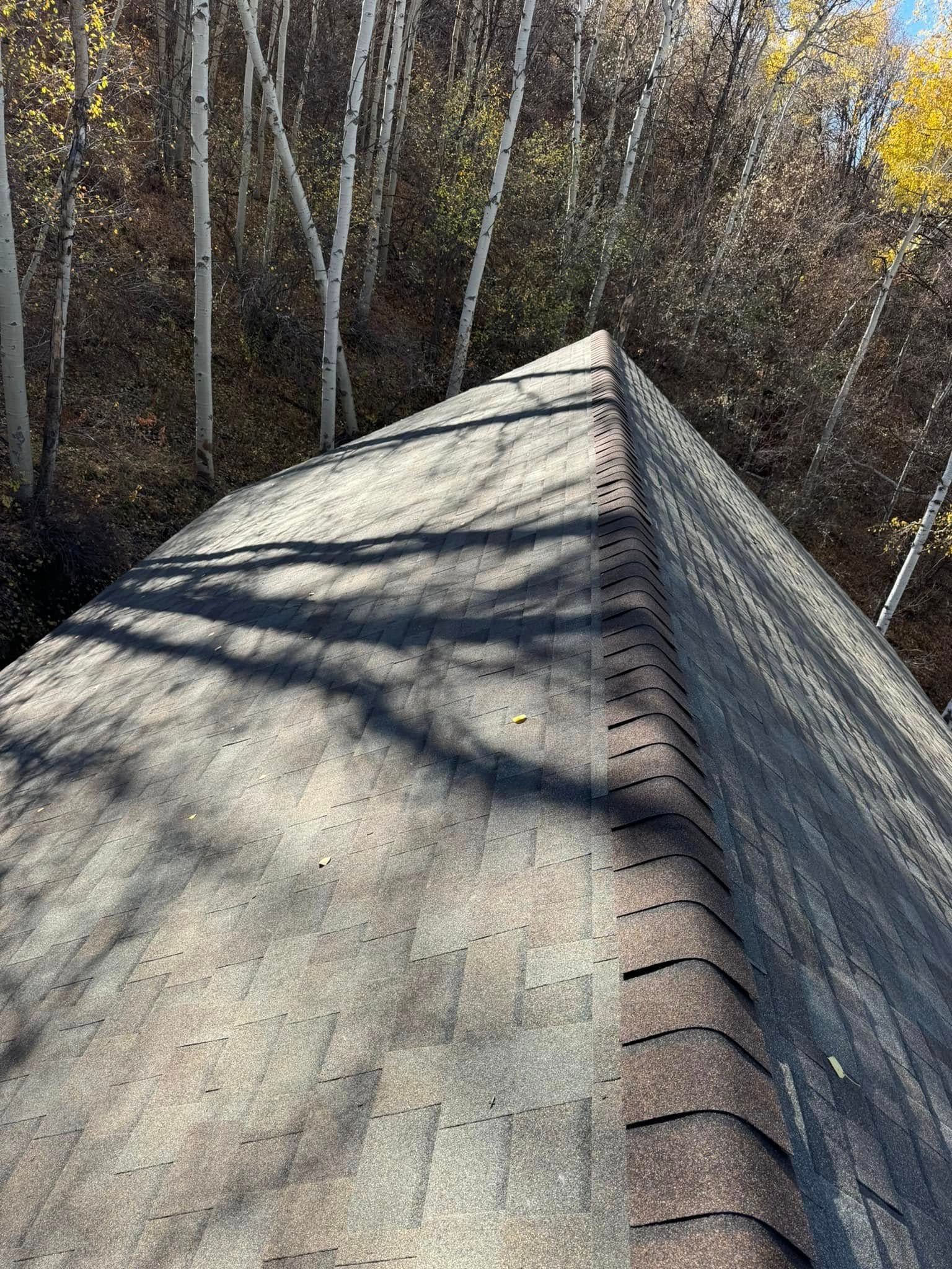 View of a dark, asphalt shingle roof with a tree-lined background.