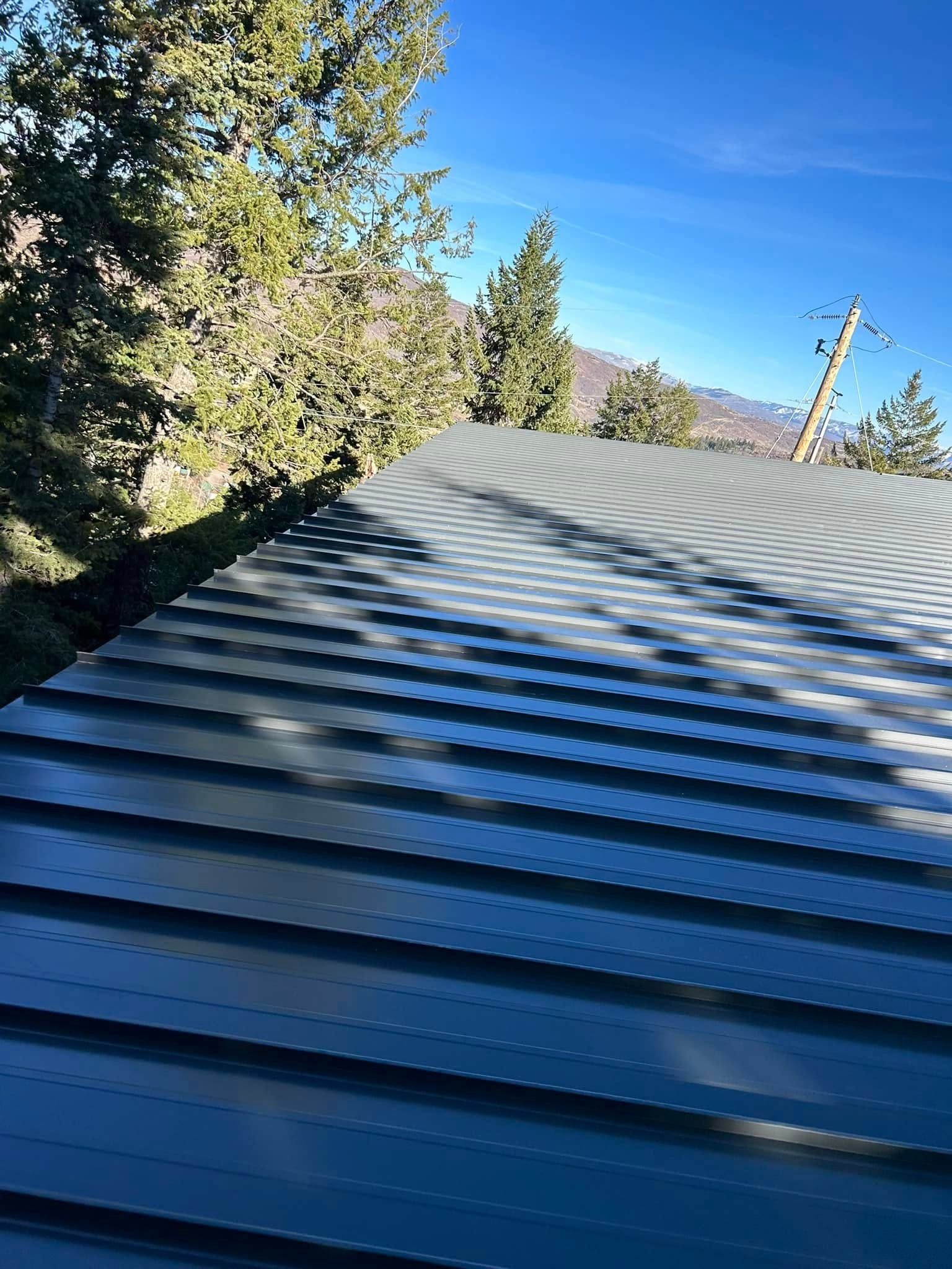 Metal roof with horizontal ridges, shadowed by trees, with blue sky and mountain backdrop.