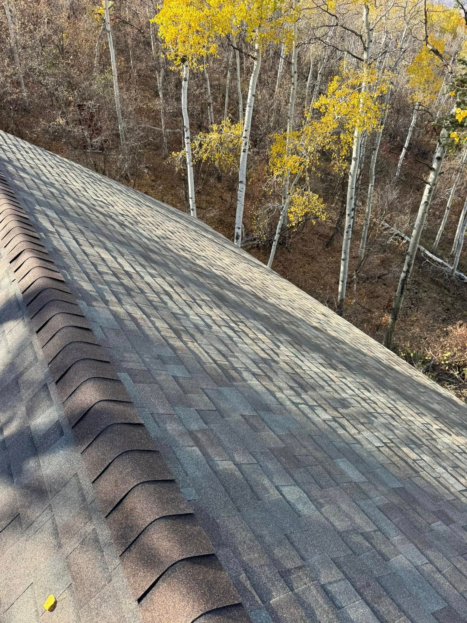 Asphalt shingle roof with streaks, trees with yellow leaves in background.
