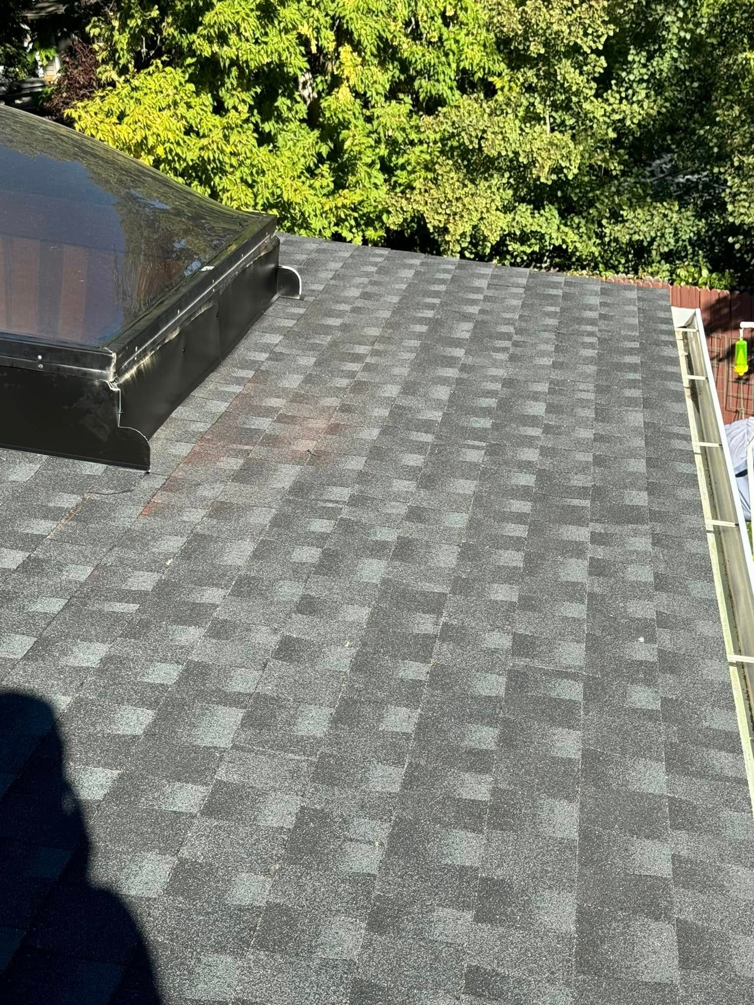 Black shingle roof with a dome-shaped skylight, and green trees in the background.