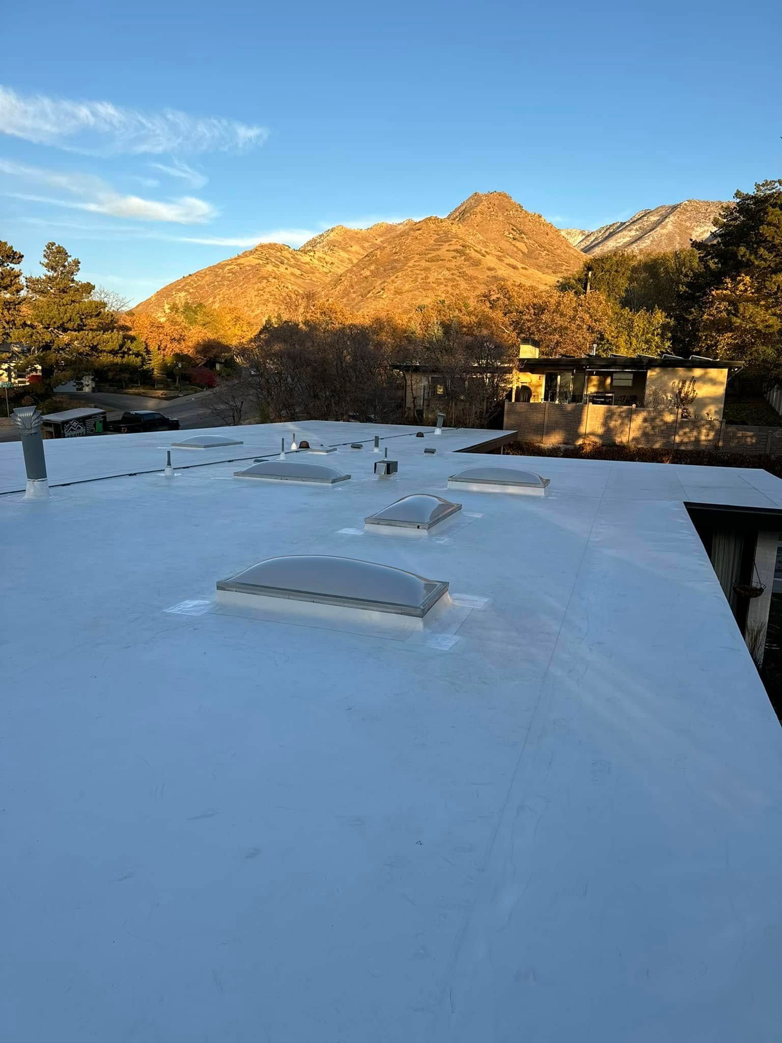 White flat roof with skylights, trees, and a mountain in the background under a blue sky.