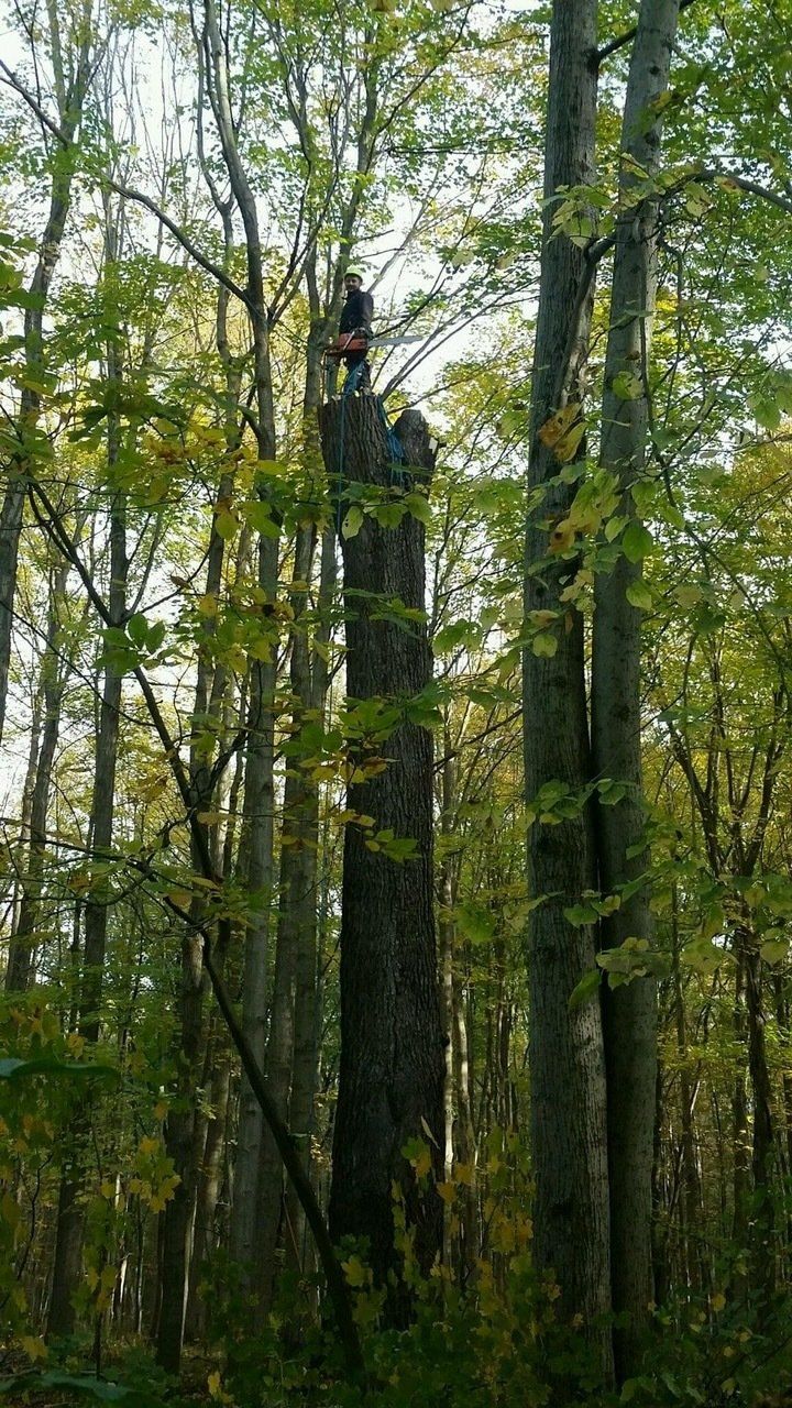 SUSTANABLE CONVERSATION