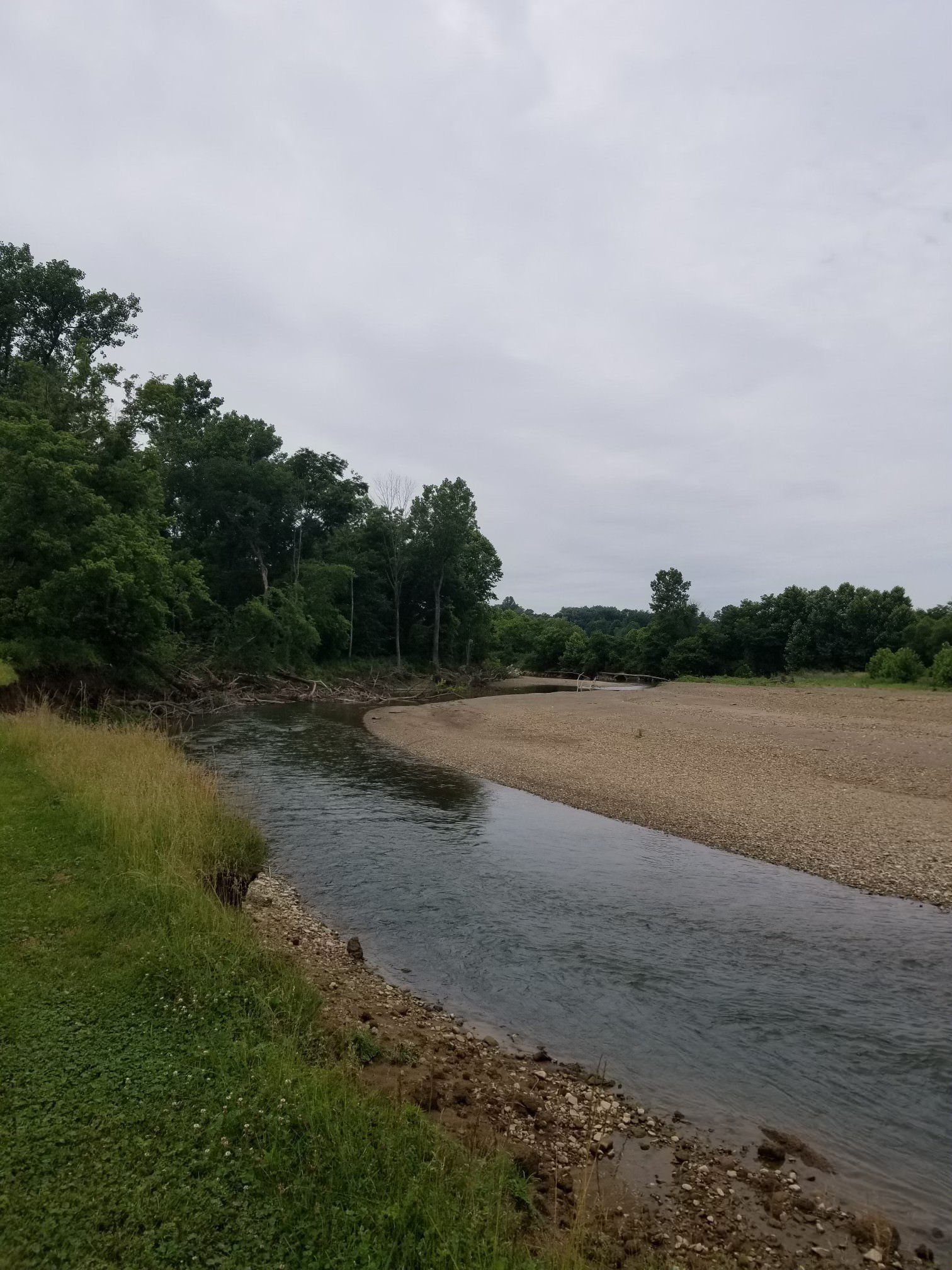 Shelby County ohio timber and logging, Forest management Timber Management Services Alfred Miller Forest Management