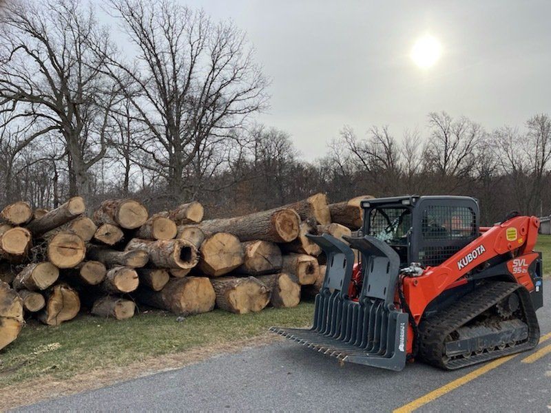 Logging and forestry Timber Management Services Forest Management