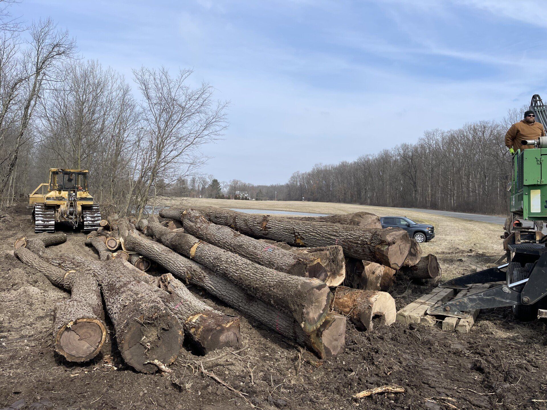 Ohio PA, Forests Alfred Miller Logging