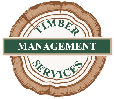 Timber Management Services Alfred Miller Ohio timberohio.com