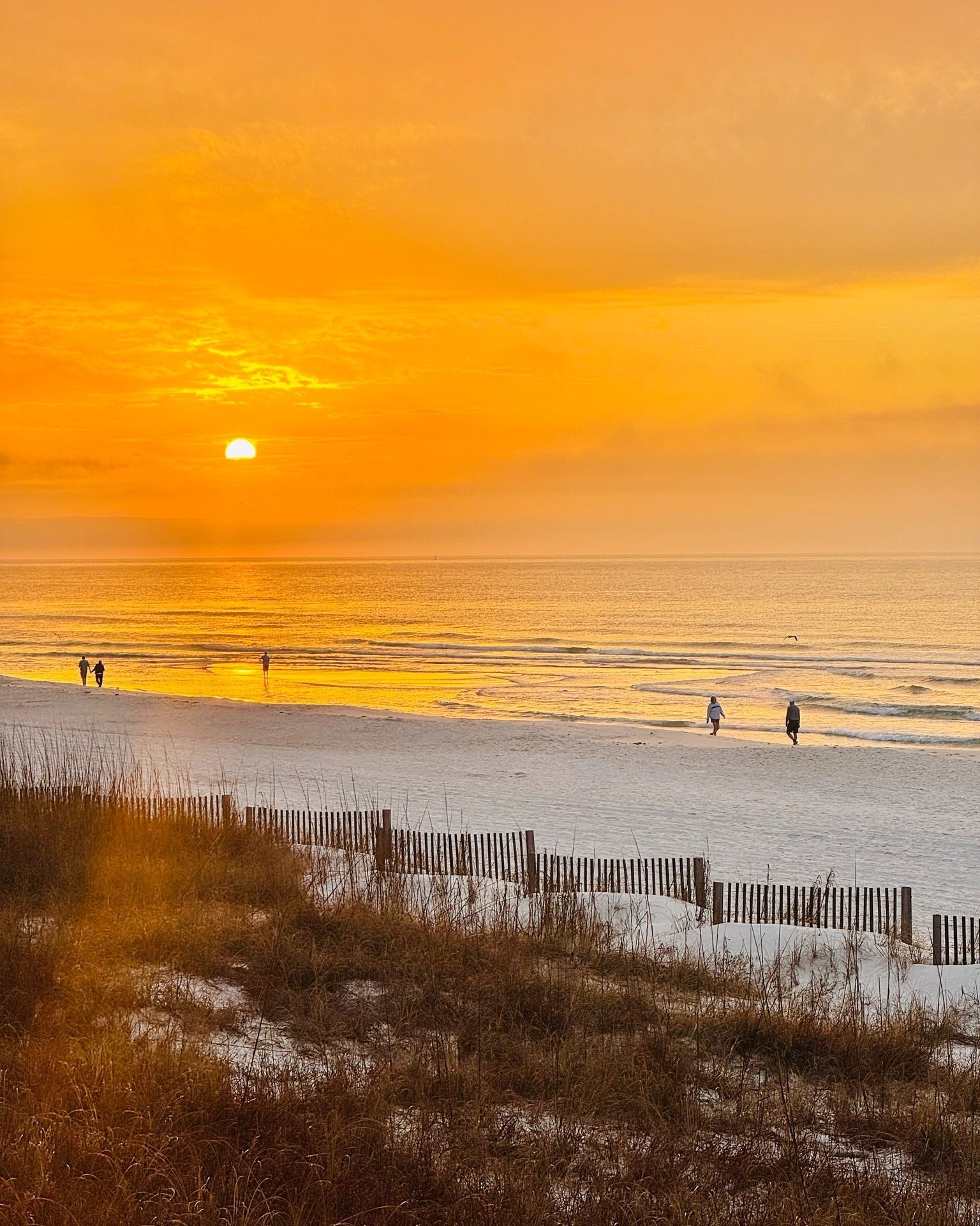 beachfront restaurant