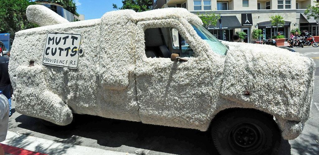 Picture of the Mutt Cutts van from Dumb and Dumber.