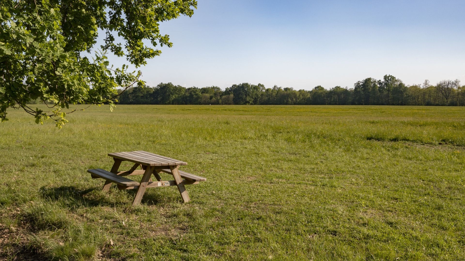 Looking for an outdoor day out in northeast England? Explore 8 of the best country parks 