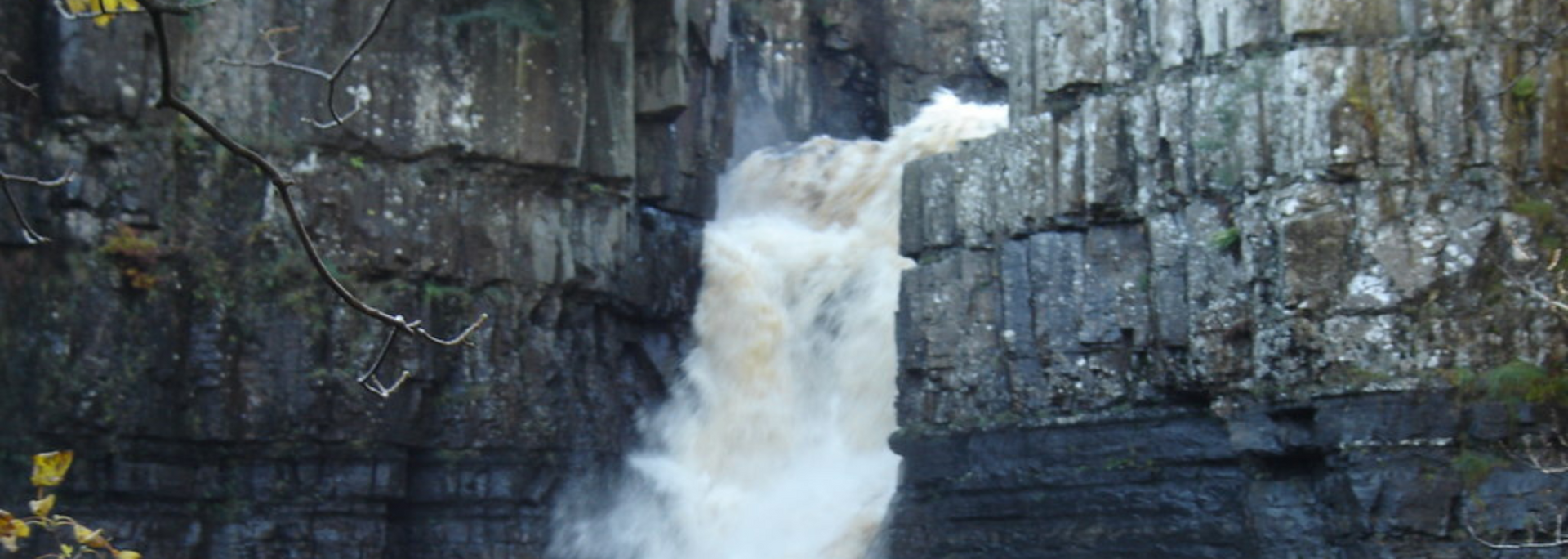 Picture of High Force 
