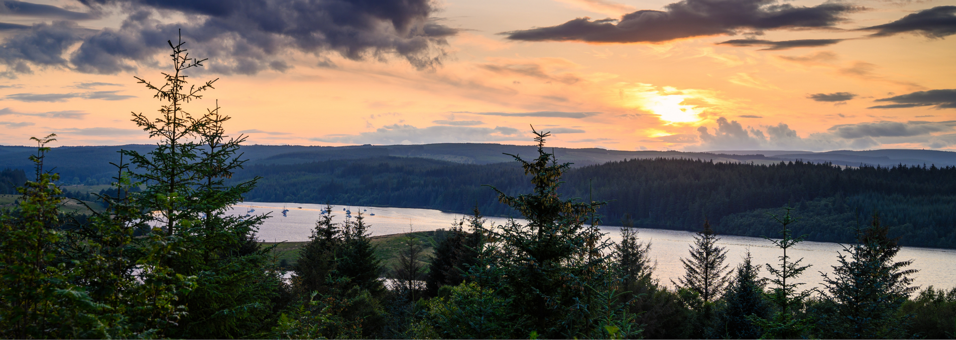 Picture of Kielder Water and Forest Park