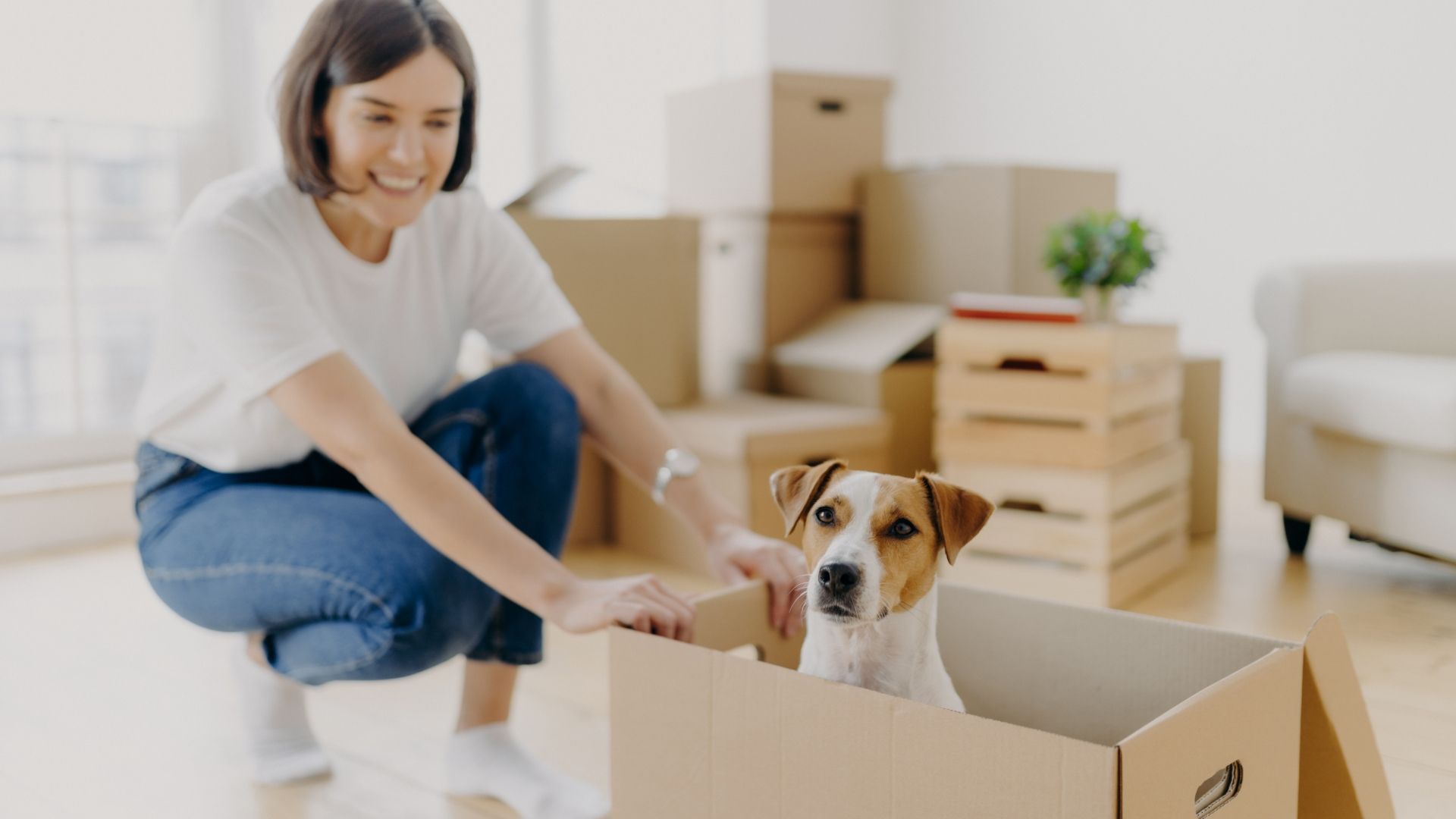 Moving home with a pet can be stressful – but with the right preparation, it doesn't have to be. Lea