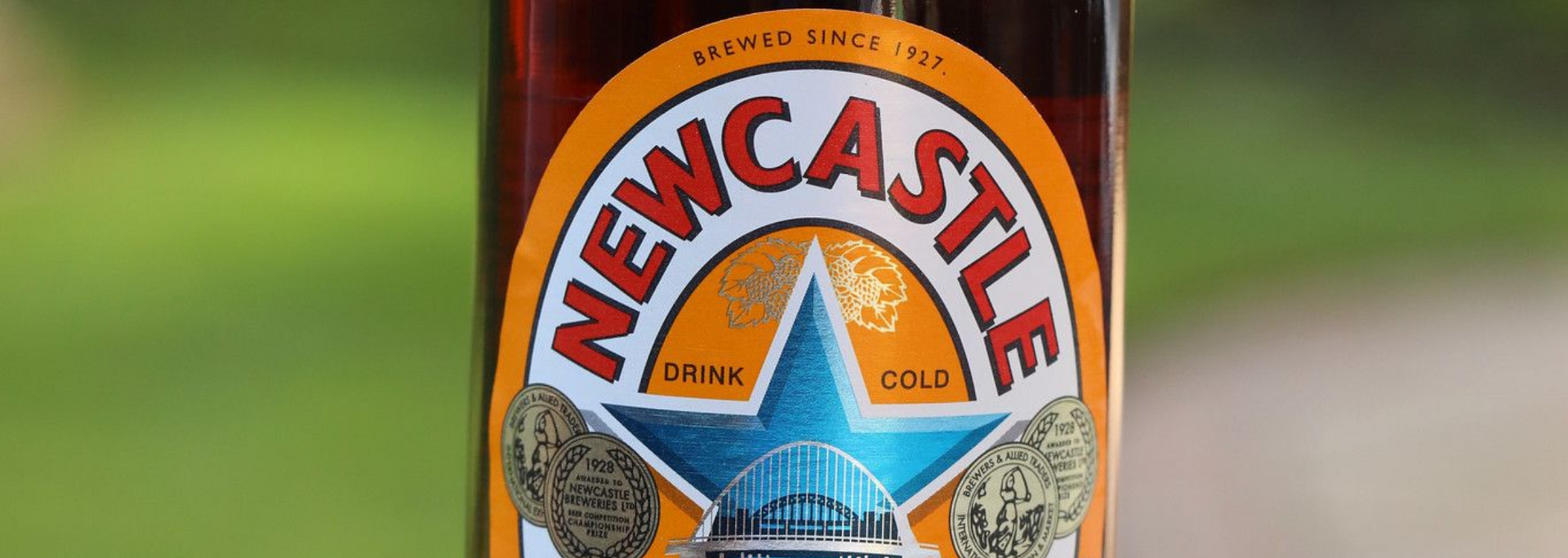Picture of Newcastle Brown Ale