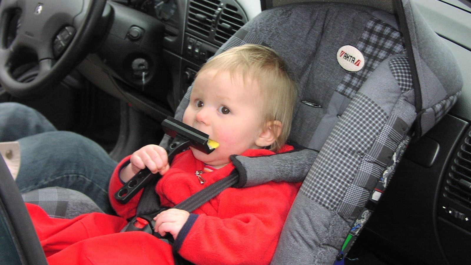 Picture of a child in a child seat in a car.