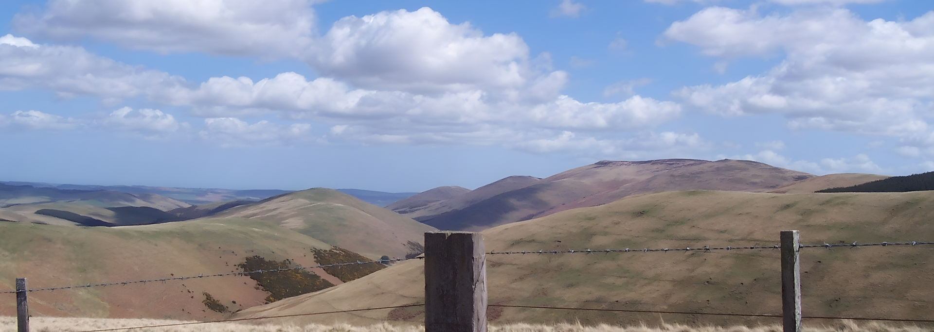 Picture of the Scottish border. 