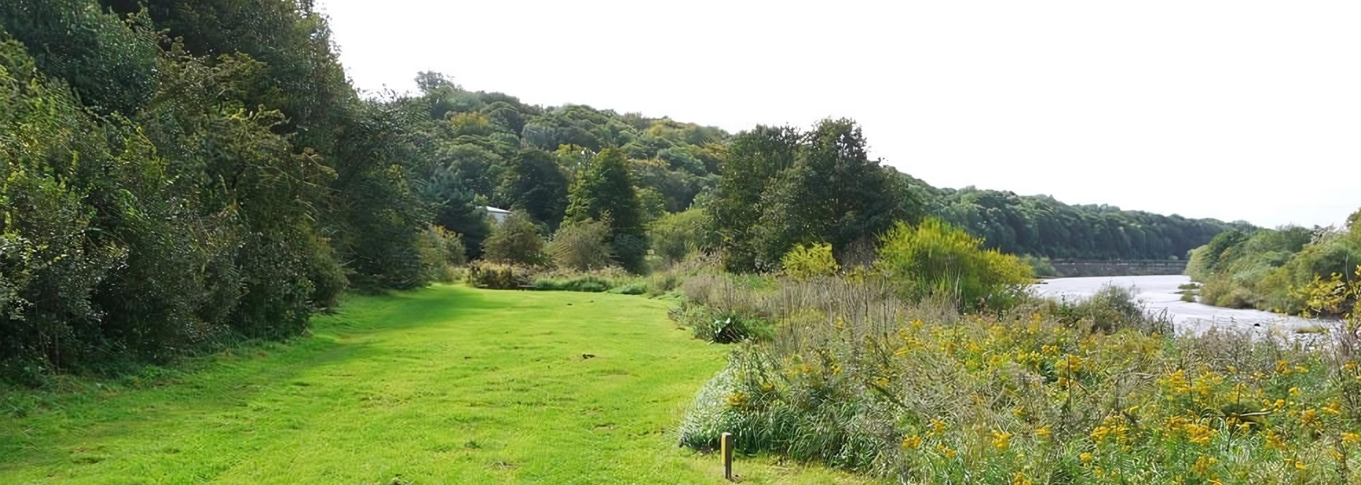 Picture of Tyne Riverside Country Park. Picture of Tyne Riverside Country Park.