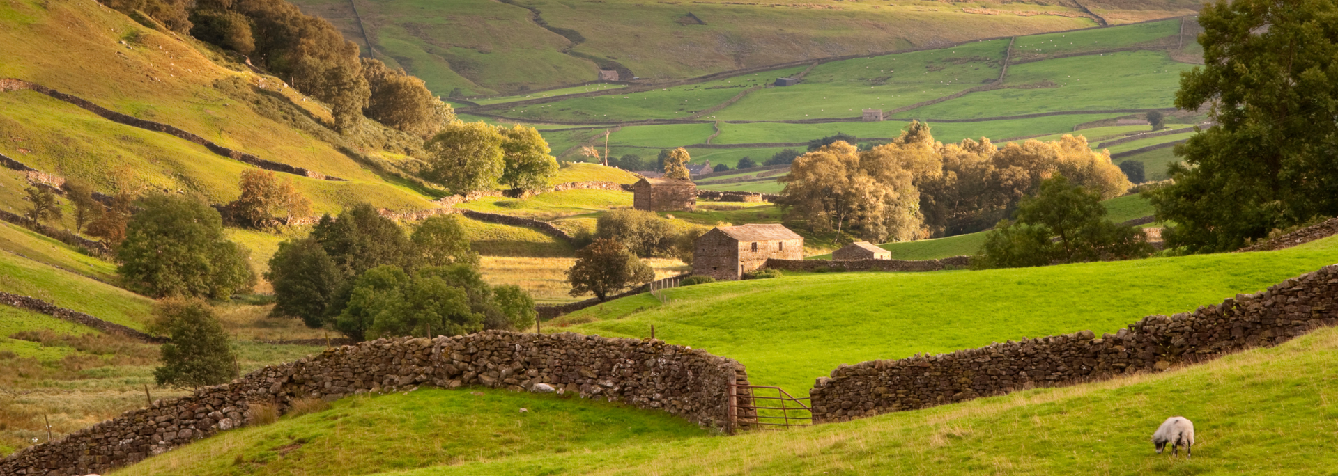Picture of the Yorkshire Dales.
