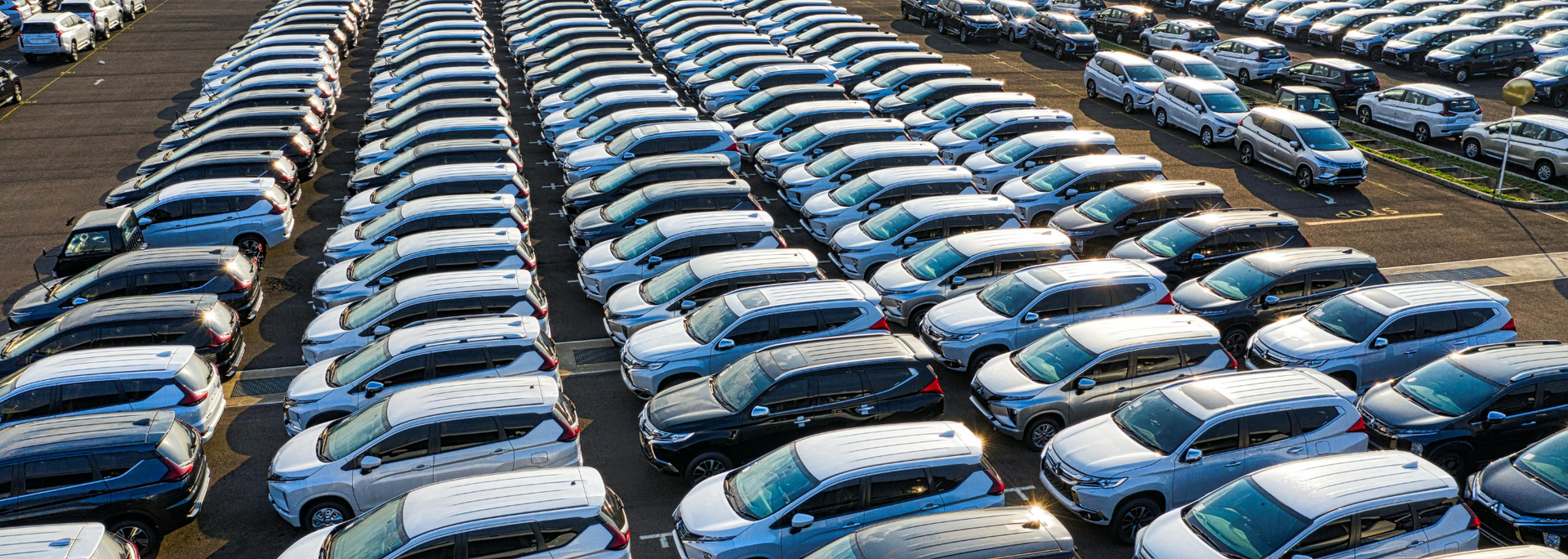 Picture of a row of modern cars.