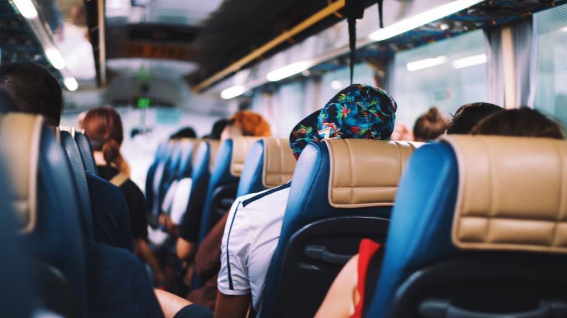 Going on a trip and trying to decide between a coach and a minibus? Explore your options 