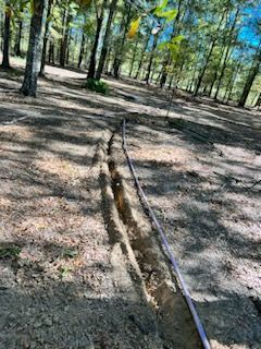 A purple pipe lies in a trench cut into the earth in a wooded area.