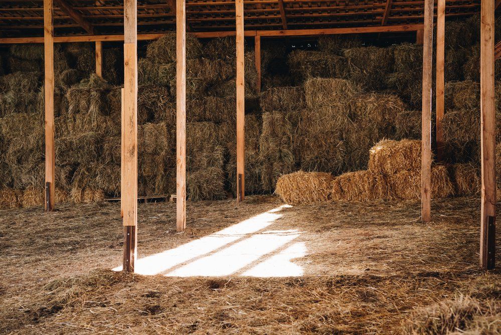 inside a pole barn filled with hay