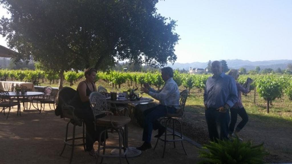 people sitting at a vineyard
