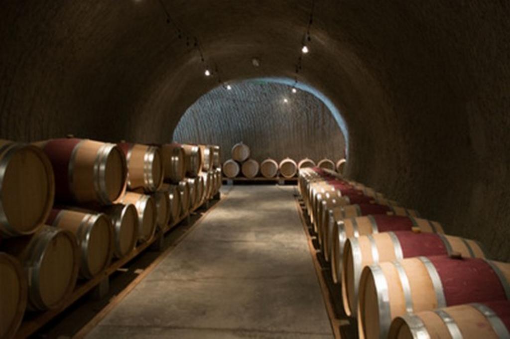wine cave with barrels