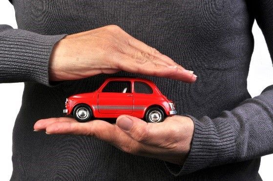 Person With a Car Model