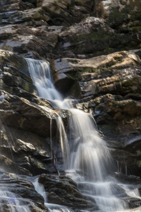 A gentle waterfall cascades over dark, rugged, mossy rocks in a forested area.