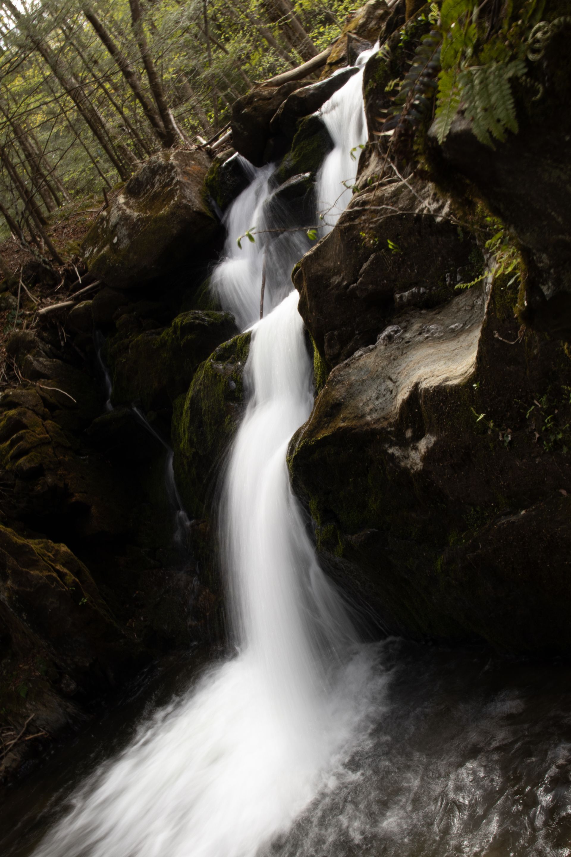 Waterfall cascading through a narrow rocky forest gorge