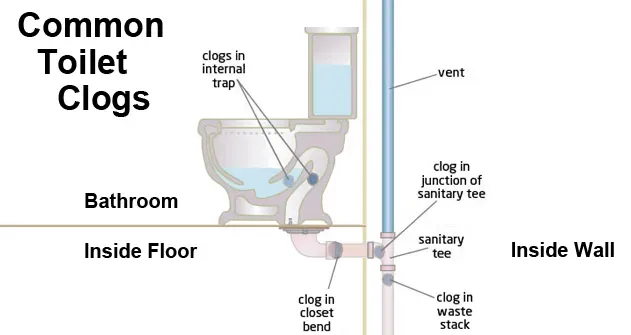 Bad Smell Coming From Toilet: 9 Most Common Causes & Solutions Bad Smell Coming From Toilet: 9 Most Common Causes & Solutions