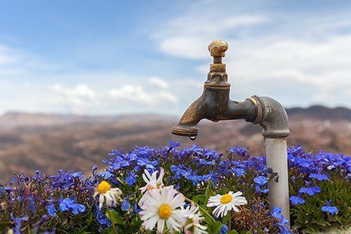 Plumbing For Spring