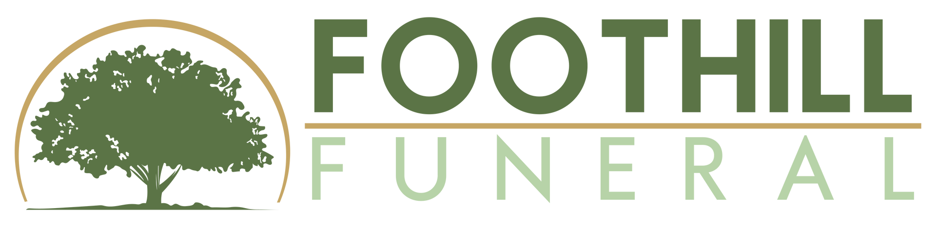 a logo for alternatives cremation and funeral service